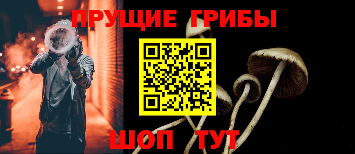Псилоцибиновые грибы Magic Shrooms  Вход с VPN  Сорочинск  Галлюциногенные грибы Psilocybe 
